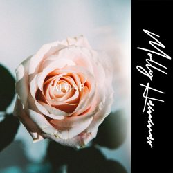 2489.-Molly-Hammar-“Alone”