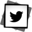 twitter-new